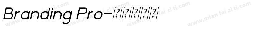 Branding Pro字体转换